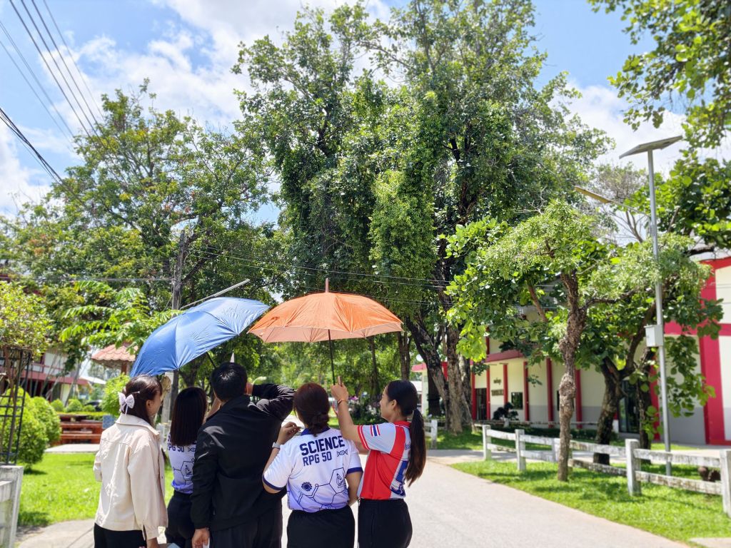 ภาพประกอบ